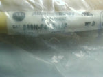  Allen Bradley 889N-F4AE-12F Bulletin 889N Cordset Ser B 4Pin Mini Straight 12FT 3.7M Image