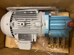  Toshiba IK-FCKLA21 Induction Motor w/ Maruyama MW3SF30EE Pump Image