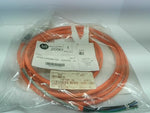  Allen Bradley 2090-CPWM7DF-16AA05 Cable 5M Series A Image