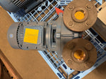  Travaini Pumps TRMB 40-110/RX/IE2 Vacuum Pump 55 Qm3/h Image