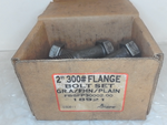  EGW 18921 2" 300#Flange Bolt Set FBSFP30002.00 (8 Bolts w/Nuts) Image