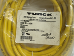  Turck RKM 31-10M Mini Fast Cordset 10M RKM3110M Image