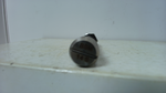  HELD Automation BSM 14S Shock Absorber 15.5mm Stroke 4000113 Image