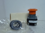  Allen Bradley 800T-FX3D2 2 Position Push Button Series T Image