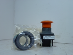  Allen Bradley 800T-FX3D2 2 Position Push Button Series T Image