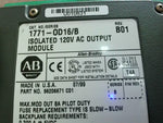  Allen Bradley 1771-OD16 Isolated Output Module Factory Sealed Image