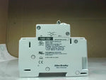  Allen Bradley 1492-CB2G060 Circuit Breaker Ser.C  6A  480V 2 Pole Image