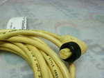  Pepperl+Fuchs V1-W-YE5M-PVC Cordset  4 Pin Female 90' 5M Image