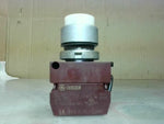  GENERAL ELECTRIC White PushButton Switch P9B10VN Image