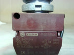  GENERAL ELECTRIC White PushButton Switch P9B10VN Image