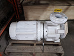  Egger T51-80 Turo Vortex Pump 10HP Image