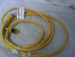  LUMBERG AUTOMATION RST 4-RJWT 4-637/2M Cable Image