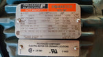  Reliance Electric 685155797 Motor Image