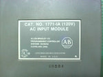  ALLEN BRADLEY 177-1IA AC INPUT MODULE Image