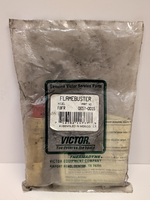  VICTOR 06570015 Image