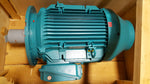  BROOK CROMPTON N-DF225MD MOTOR Image