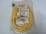  Brad Connectivity 884033K05M020 Micro-Change Extension Cable Image