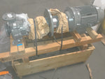  Flowserve Men/SP50-32-200L Centrifugal Pump 20HP Image