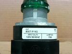  Allen Bradley 800T-P16G Green Standard Transformer Pilot Light Image