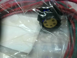  Brad Harrison 1R5004A24F060 Cable 5P Female Stright  6'  #16 AWG PVC Leads Auto Factory Sealed Image
