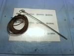  WATLOW RB1056301 SENSOR Image