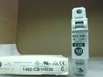  Allen Bradley 1492CB1H030 Circuit Breaker Image