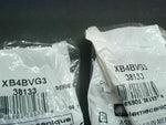  Telemecanique XB4-BVG3 Pushbutton Light Module 120V Image