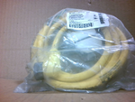  Brad 1300060426 Cordset 3P Female 90Deg 6ft Factory Sealed Image