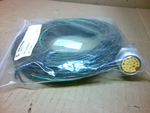  Lumberg RKF 1901M-669/10F Single Ended Receptacle 10' Image