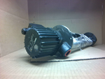 Brinkmann Pumps TB 40/350-Z+095 Vertical Immersion Pump! Image