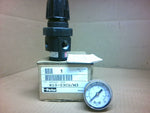  Parker R10-03CG/M3 Regulator w/ Gauge 300psi 1/2" NPT Image