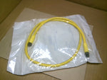  Allen Bradley 889D-F4WEDM-1 Cordset 4 Pole Male/Female 1M Ser. B Factory Sealed Image