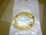  Allen Bradley 889D-F4ACDM-2 Cordset 4-Pin Male & Female 2M Factory Sealed Image