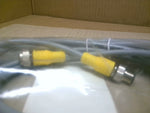  Turck RKC 12T-5-RSC 12T Cordset, 12 Pin Strigjht Female & Male  Factory Sealed Image
