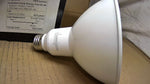  Elumigen PAR38 LED Rough Service Lighting 100W 120 Volts Effica Image
