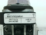  Allen Bradley 800T-FXQ24RA1 Red Illuminated Push Button Image