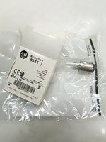  ALLEN BRADLEY 855T-L10 LAMP, NON STANDARD - TYPE: INCANDESCENT, VOLTS: 120, BASE: BAYONET, BULB TYPE: BA15D Image