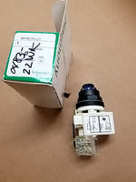  Square D 9001SKT35LLL31 Blue  Push to Test Pilot Light Image