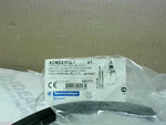  Telemecanique XCMD21F2L1 Limit Switch  Actuator Style w/ Plunge Image