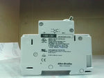  Allen Bradley 1492-CB2G040 Circuit Breaker Ser.C 4A  2 Pole Image