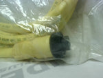  Allen Bradley 889N-F4AFC-6F Micro Cordset Ser.B 600V 10A  4-Pin Factory Sealed Image