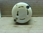  Psss & Seymour 7413DSS120 V 20A  Receptacle Image