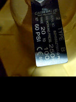  Cash Valve 20258-0060 2" Pressure Regulator 20 to 100 psi Image