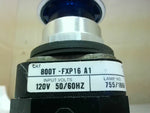  Allen Bradley 800T-FXP16A1 Illuminated Mushroom Head EStop Blue Image
