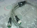  Murr 7000-40701-2230060 Dual End Sensor Cable M12 Female Straig Image