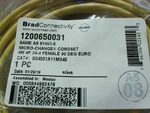  Brad Connectivity 1200650031 Micro-Change Cordset 4P 24-4 Femal Factory Sealed Image
