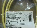  Brad Connectivity 1200661137 Micro-Change Cordset 3P Female 90d Factory Sealed Image