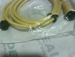  Allen Bradley 889N-F5AENM-3 /B CordSet 5 Pin Male/Female Strigh Factory Sealed Image