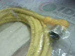  Turck WKB 3T-5/S90 Cordset 3P Female 90deg 5M Factory Sealed Image