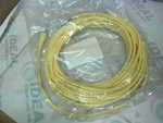  Brad Connectivity 1200650277 Sensor Cordset 4P Female Straight  Factory Sealed Image